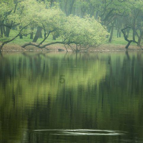 虫虫助手下载